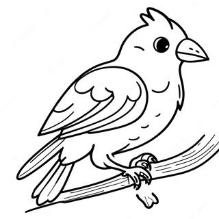 Pájaro Tropical Páginas para Colorear