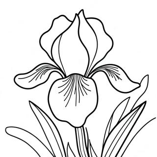 Página para Colorear Flor de Iris | Página para colorear de Iris